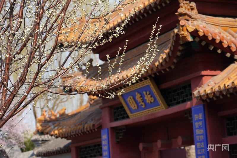 北运河边桃花开；沉浸体验引客来，产城联动绽活力。