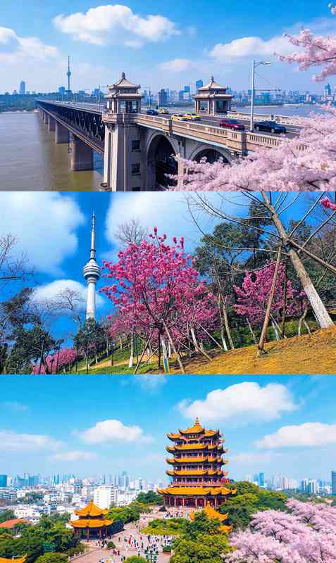 【春季出游指南】探寻四百年江城文脉的沉浸式玩法