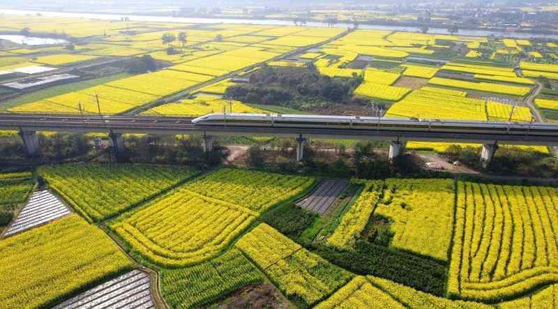  【春季出游指南】探寻四百年江城文脉的沉浸式玩法 文化旅游 【春季出游指南】探寻四百年江城文脉的沉浸式玩法 文化旅游
