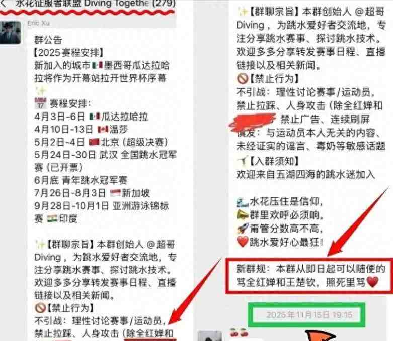  全红婵网暴事件：282人群聊背后的组织化恶意传播机制深度剖析 新闻