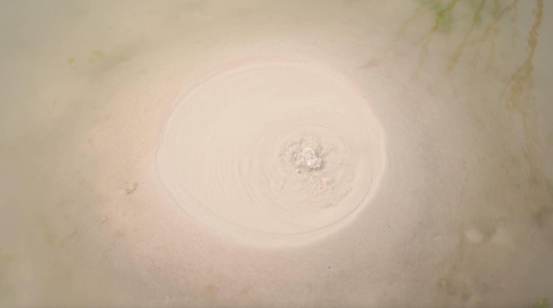  地质雷达+岩层裂隙扫描：济南白泉修复的技术路径深度剖析 文化旅游