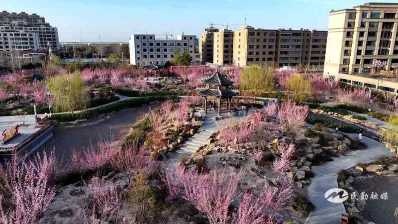  【生态技术深度解析】沙漠锁边技术演进：民勤20年治沙工程的技术突破与生态价值 文化旅游