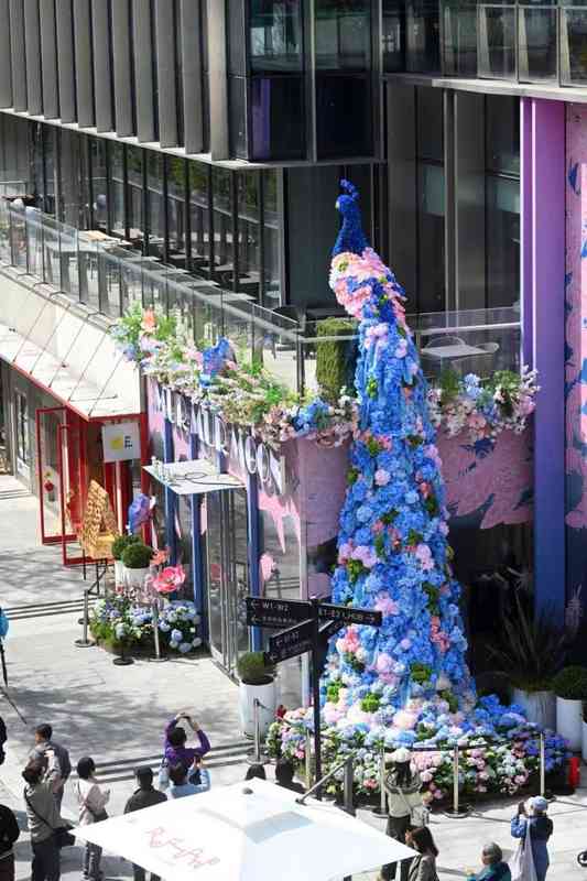  从花艺算法到商业生态：解码2026浦东花卉节的底层设计逻辑 文化旅游