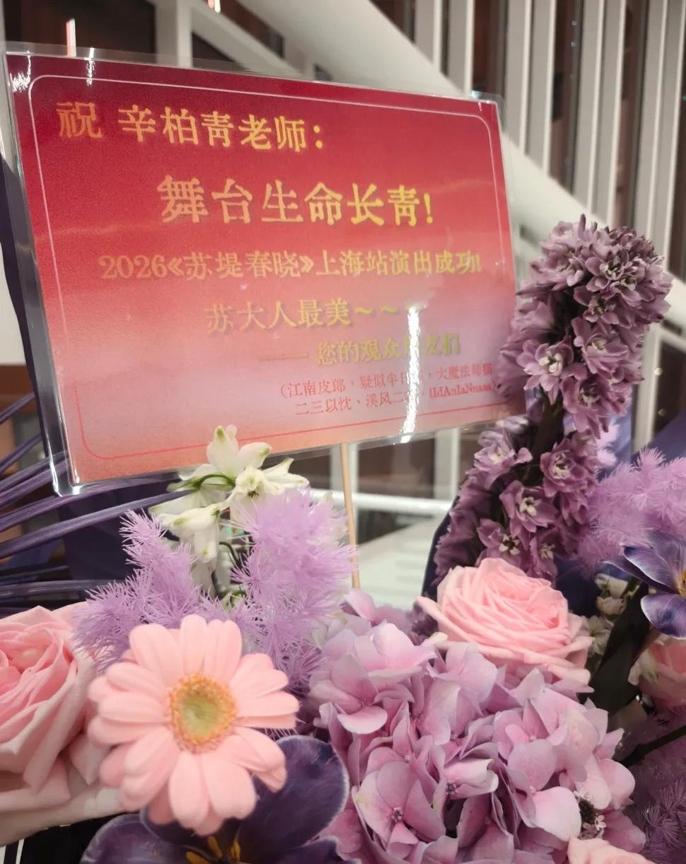  《苏堤春晓》舞台复归：辛柏青如何穿越丧妻之痛完成职业救赎 影视小说