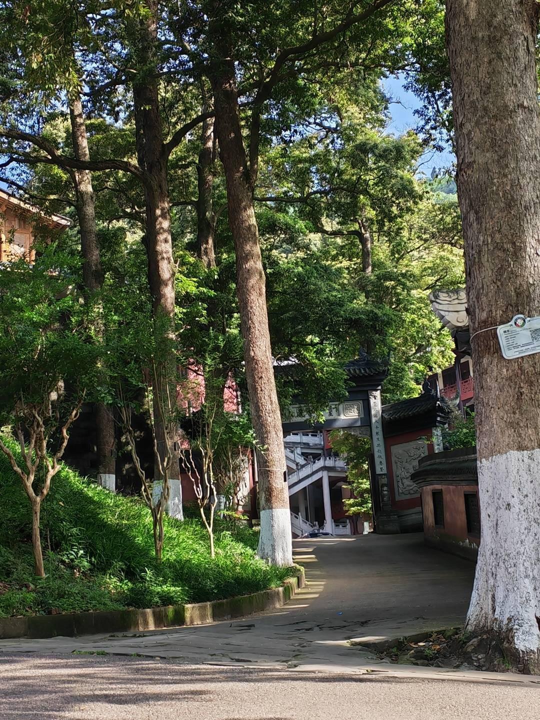  【地理奇观】方山：从丹霞地貌到330岁桢楠群落，一座被长江铭记的「活体标本」 文化旅游