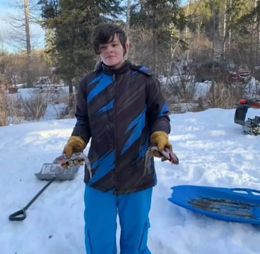  技术沉默的代价：AI预警系统失灵的八个月与Tumbler Ridge惨案深度复盘 IT技术