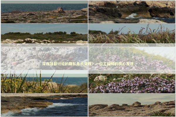 深夜项目讨论的隐私危机突现？一位工程师的核心发现 汽车科技