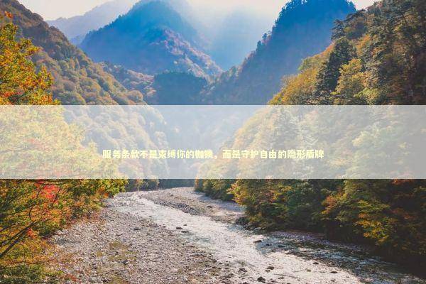 服务条款不是束缚你的枷锁，而是守护自由的隐形盾牌 新闻