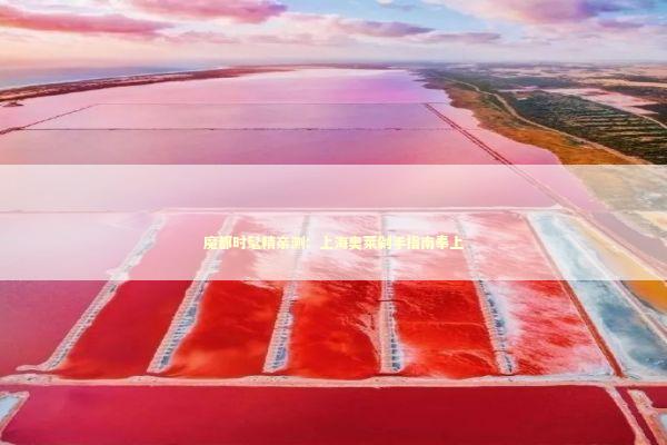 魔都时髦精亲测：上海奥莱剁手指南奉上 时尚用品