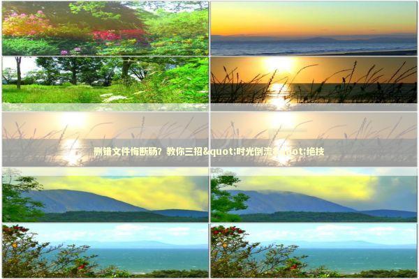 删错文件悔断肠？教你三招"时光倒流"绝技 IT技术